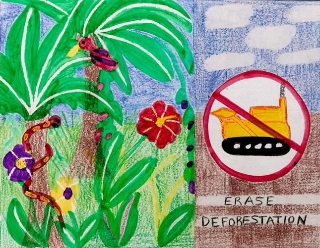 Erase It Deforestation | crayola.cn